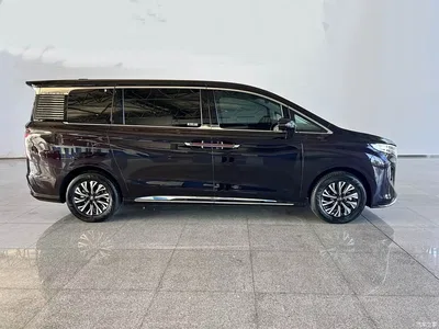 2024 Hongqi HQ9 PHEV Model 2.0T AWD Luxury Edition, фото 3, лот 10414978