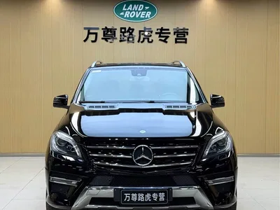 2015 Mercedes-Benz M-Class ML 320 4MATIC, фото 2, лот 10395358