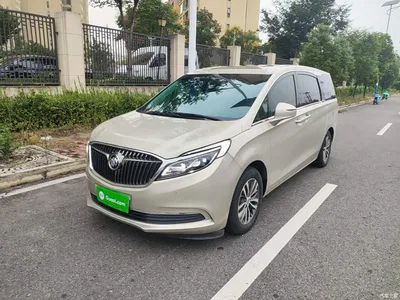 2018 Buick GL8 ES 28T Comfort Type China VI, фото 1, лот 10837769