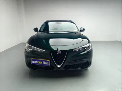 2021 Alfa Romeo Stelvio 2.0T 280HP Luxury Edition, фото 2, лот 10239868