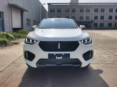 2017 WEY VV5 2.0T Super Luxury Model, фото 3, лот 10887253