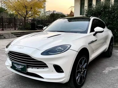2022 Aston Martin DBX 3.0T STRAIGHT-SIX, фото 1, лот 10241202