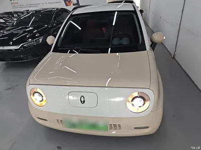 2022 Ora Black Cat 351km Standard (NMC), фото 3, лот 10330803