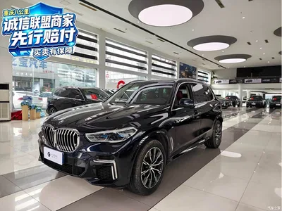 2022 BMW X5 xDrive 30Li Premium M Sport Package, фото 2, лот 11227957