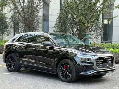 2019 Audi Q8 55 TFSI Premium Dynamic, фото 3, лот 11197617