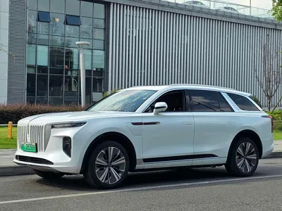 2021 Hongqi E-HS9 460km Flagship Comfort 6-seater, фото 1, лот 10288052