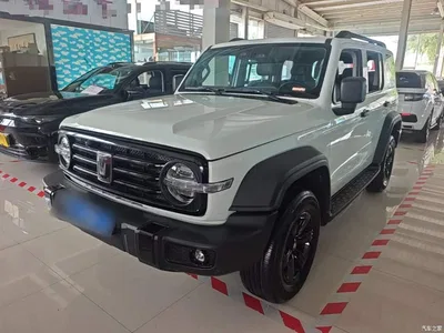 2021 Tank 300 Off-road Version 2.0T Conqueror, фото 1, лот 10345254