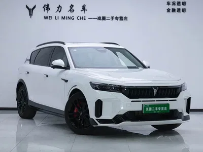 2025 Voyah Auto VOYAH FREE 318 318km RWD Touring Edition, фото 3, лот 10310662