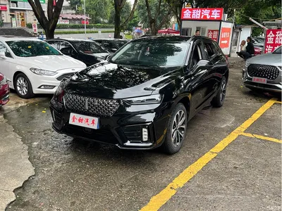 2020 WEY VV7 2.0T Luxury, фото 3, лот 10662877