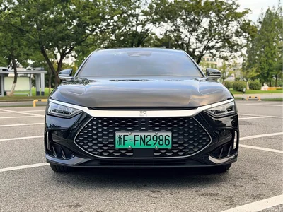 2023 BYD Han DM-i Champion Edition 121KM Premium, фото 2, лот 10255524