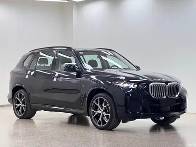 2025 BMW X5 Model xDrive 30Li Exclusive M Sport Blackout Package, фото 2, лот 10443079