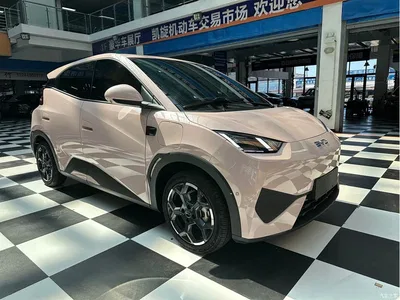 2025 BYD Seagull Smart Driving Edition 405km Flying Edition, фото 3, лот 10257455
