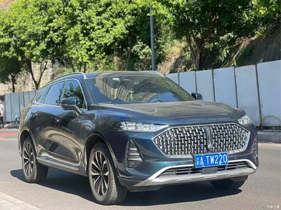 2021 WEY Mocha 2.0T 2WD Premium Edition, фото 3, лот 11166134