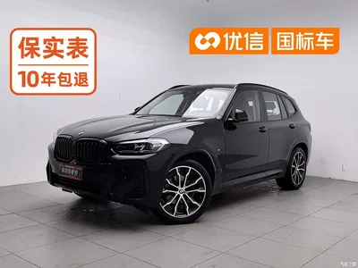 2022 BMW X3 xDrive30i Leading M Night Package, фото 1, лот 11217245
