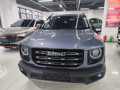 2021 Haval Big Dog 1.5T DCT 2WD Labrador Edition, фото 3, лот 11181076