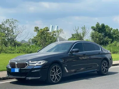 2023 BMW 5 Series 530Li Leading M Sport Package, фото 1, лот 10449370
