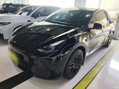 2023 Tesla Model Y Rear-Wheel Drive Edition, фото 2, лот 10370343