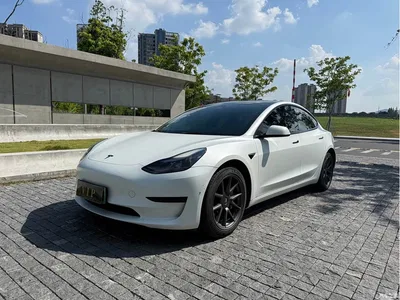 2021 Tesla Model 3 Standard Range Rear-Wheel Drive Upgrade 3D6, фото 1, лот 10352856