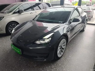 2021 Tesla Model 3 Standard Range Rear-Wheel Drive Upgrade, фото 2, лот 10375306