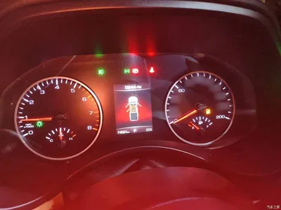 2021 Great Wall Pao 2.0T Passenger Global Edition Automatic Gasoline 4WD Sport Standard Box GW4C20B, фото 4, лот 10248886