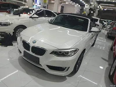 2015 BMW 2 Series (Import) 218i Convertible Coupe, фото 2, лот 10763683