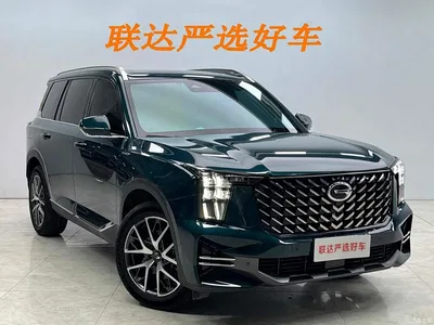 2022 GAC Trumpchi Trumpchi GS8 Pilot Series 2.0TGDI 2WD Premium Edition (6-Seater), фото 4, лот 10418218
