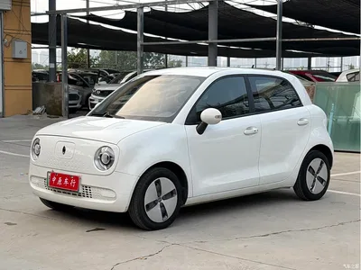 2021 Ora Black Cat 301km Basic Model, фото 1, лот 11175180