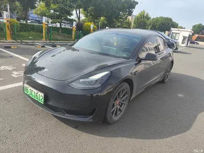 2021 Tesla Model 3 Standard Range Rear-Wheel Drive Upgrade 3D6, фото 2, лот 11097443
