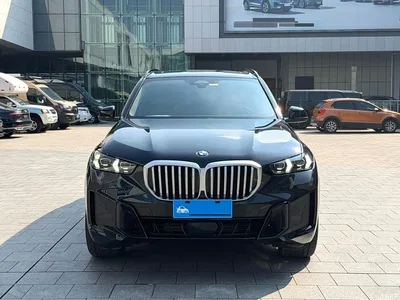2023 BMW X5 xDrive 30Li Premium M Sport Black Night Package, фото 2, лот 10319844