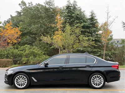 2020 BMW 5 Series 530Li Leading Luxury Package, фото 4, лот 11196093