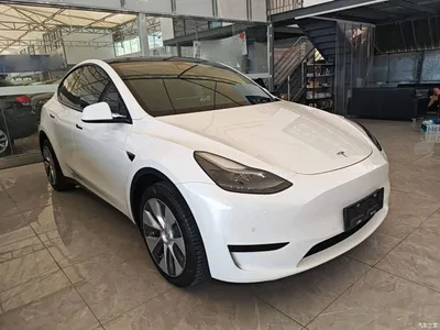 2022 Tesla Model Y Facelift Rear-Wheel Drive Version, фото 4, лот 10370179