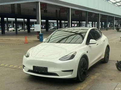 2022 Tesla Model Y Rear-Wheel Drive Version, фото 1, лот 10383330