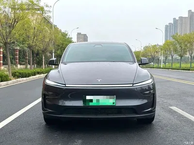 2025 Tesla Model Y Long Range All-Wheel Drive, фото 2, лот 11549240