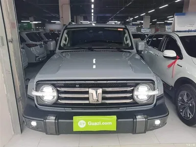 2021 Tank 300 Urban Edition 2.0T Stylish, фото 3, лот 10345539
