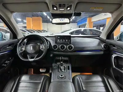 2017 WEY VV5 2.0T Super Luxury Model, фото 4, лот 10451824