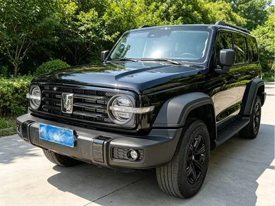 2023 Tank 300 Off-Road Edition 2.0T Challenger, фото 1, лот 10481356
