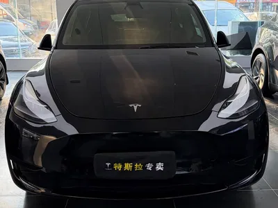 2022 Tesla Model Y Facelift Rear-Wheel Drive Version, фото 2, лот 10393608