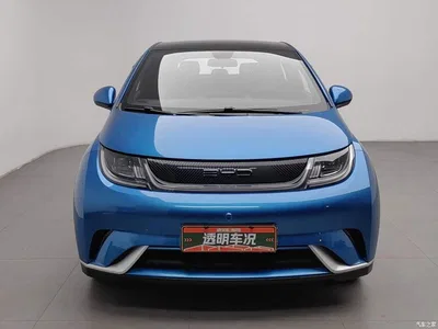 2021 BYD Dolphin Model 405km Fashion Edition, фото 3, лот 11580949