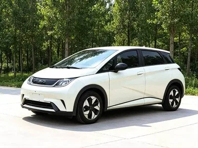 2025 BYD Dolphin 420km Freedom Edition, фото 1, лот 11136757