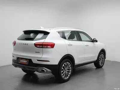2020 Haval H6 1.5GDIT Automatic Platinum Luxury Edition, фото 2, лот 10450767