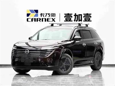 2024 Nissan Terra 380VC-TURBO AWD Intelligent Driving Edition 7-seater, фото 1, лот 10339282