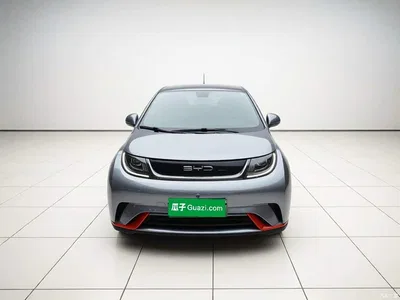 2021 BYD Dolphin Model 405km Fashion Edition, фото 2, лот 10680146