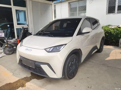 2024 BYD Seagull Glory Edition 305km Vitality Edition, фото 1, лот 10260571