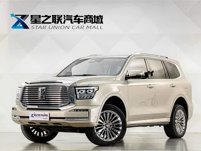 2022 Tank 500 3.0T Business Edition Zaojing 5-Seater, фото 1, лот 10344232