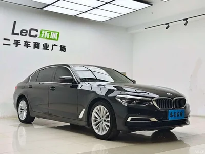 2020 BMW 5 Series 530Li Leading Luxury Package, фото 3, лот 10445537