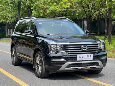 2017 GAC Trumpchi Trumpchi GS8 320T 2WD Luxury Smart Connect (7-seater), фото 3, лот 10415609