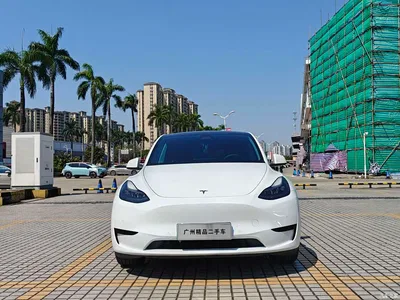 2022 Tesla Model Y Rear-Wheel Drive Version, фото 2, лот 10662241