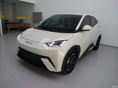 2024 BYD Seagull Glory Edition 305km Freedom Edition, фото 1, лот 10262927