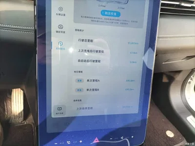 2021 XPeng G3 G3i 460G, фото 4, лот 10377967