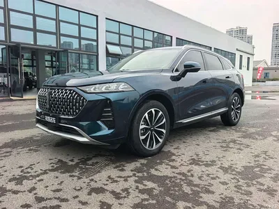 2021 WEY Mocha 2.0T 2WD Extra Rich Edition, фото 1, лот 11150291
